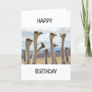 RUFFLED POULET FEATHERERED DIRE HEUREUSE CARTE D'A