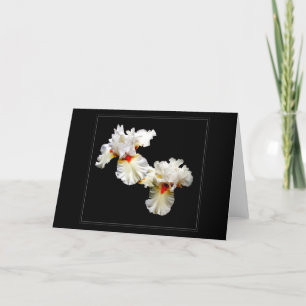 "Ruffles" blanco Wenskaart Kaart