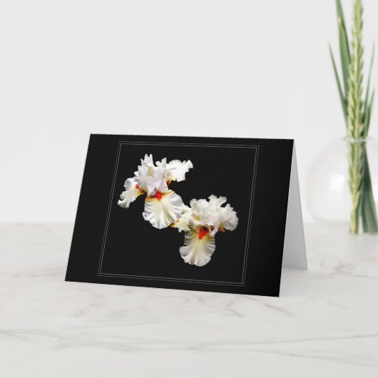 'Ruffles' Blank Wenskaart Kaart (Voorkant)