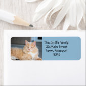 Ruffles Etiket (Insitu)