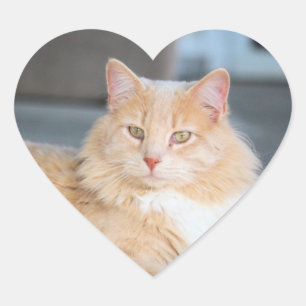 Ruffles Hart Sticker