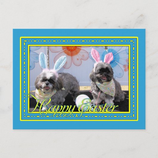 Ruffles_Riley_Shih_Tzu_Miller-2 Briefkaart (Voorkant)