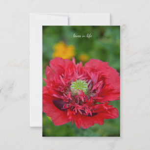 Ruffly Red Poppy Notitiekaartje