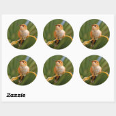 Rufous Hummingbird at Rest Ronde Sticker (Vel)