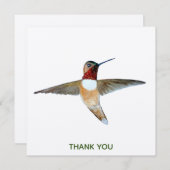 Rufous Hummingbird Bedankkaart (Voorkant / Achterkant)