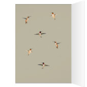 Rufous Hummingbird Birthday Kaart (Binnen (Links))