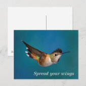Rufous Hummingbird Briefkaart (Voorkant / Achterkant)