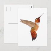 Rufous Hummingbird Briefkaart (Voorkant / Achterkant)