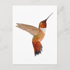Rufous Hummingbird Briefkaart