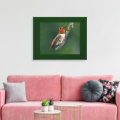 Rufous Hummingbird Canvas Afdruk (Insitu (Woonkamer))