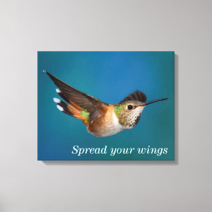 Rufous Hummingbird Canvas Afdruk