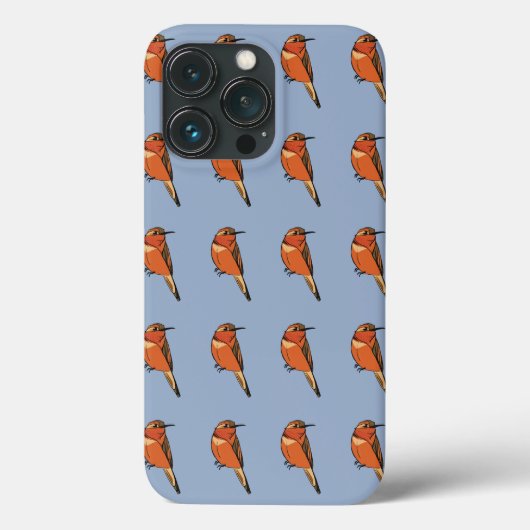 Rufous Hummingbird Case-Mate iPhone Case (Achterkant)