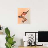 Rufous Hummingbird in een mooie Pose Poster (Thuiskantoor)