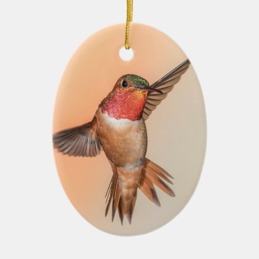 Rufous Hummingbird in Flight Monogram Name Keramisch Ornament (Voorkant)