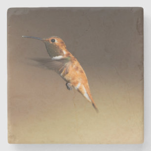 Rufous Hummingbird in vlucht Stenen Onderzetter