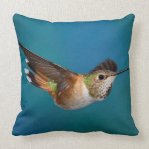 Rufous Hummingbird Kussen