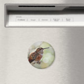 Rufous Hummingbird Lounge Magneet (Insitu (Vaatwasser))
