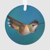 Rufous Hummingbird Ornament (achterkant)