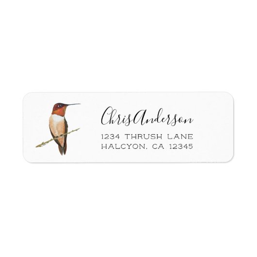 Rufous Hummingbird Return Address Label (Voorkant)