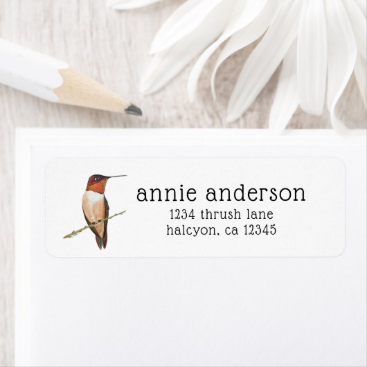 Rufous Hummingbird Return Address Label (Insitu)