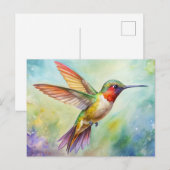 Rufous Hummingbird schilderij Briefkaart (Voorkant / Achterkant)