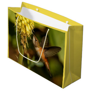 Rufous Hummingbird Sipping Kniphofia Nectar Groot Cadeauzakje