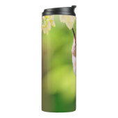 Rufous Hummingbird Sips Blueberry Blossom Nectar Thermosbeker (Gedraaid links)