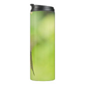 Rufous Hummingbird Sips Blueberry Blossom Nectar Thermosbeker (Geroteerd rechts)