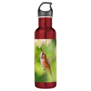 Rufous Hummingbird Sips Blueberry Blossom Nectar Waterfles