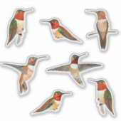 Rufous Hummingbird Sticker (Voorkant)