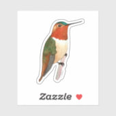 Rufous Hummingbird Sticker (Vel)
