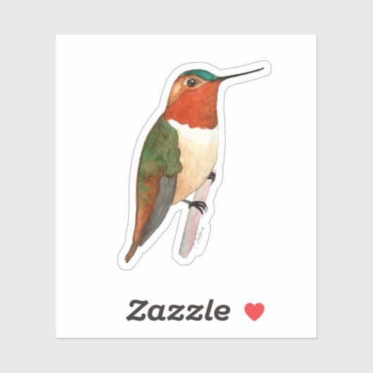 Rufous Hummingbird Sticker (Vel)