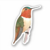 Rufous Hummingbird Sticker (Voorkant)