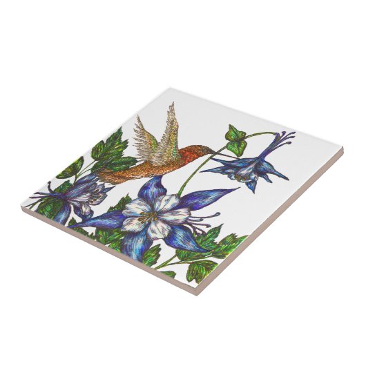 Rufous kolibrie en Columbine Tegeltje (Zijkant)