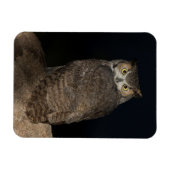 Rug Great Horned Owl Magneet (Horizontaal)
