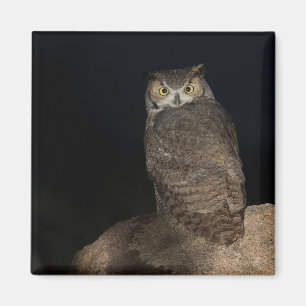 Rug Great Horned Owl Magneet