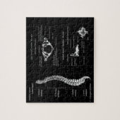 Rug Legpuzzel (Verticaal)