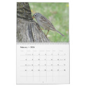 Rug Yard Birds! Bird Watcher CALENDAR Kalender (Feb 2026)