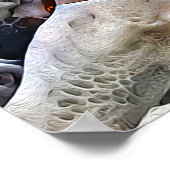 Rugby Fibre - Rugby Peinture Impression (Coin)