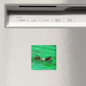 Rugby fridge magnet magneet (Insitu (Vaatwasser))
