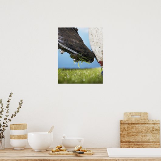 Rugby-speler die t-shirt afschopt, sluit af poster (Keuken)