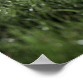 Rugbybal op het grasveld van een poster (Hoek)