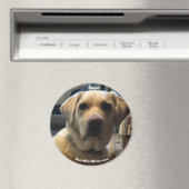 Ruger Magnet (In Situ (Lave-vaisselle))