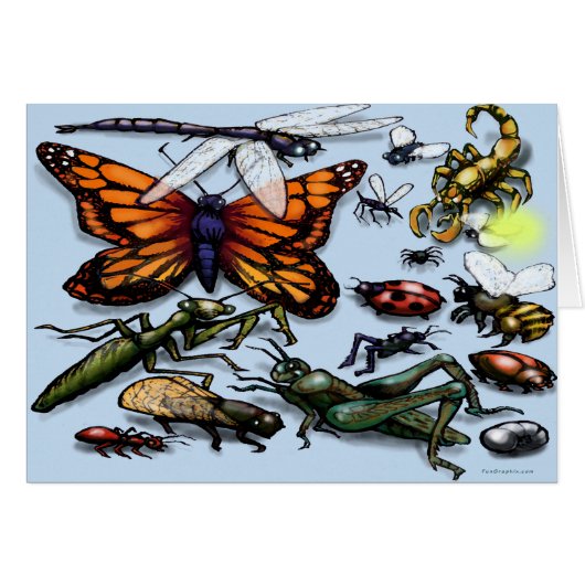 ruggen (Voorkant Horizontaal)