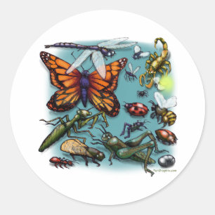 ruggen ronde sticker