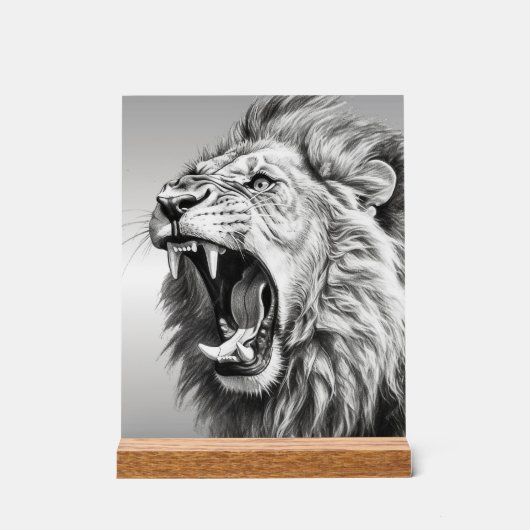Rugissement du Lion (Recto)