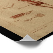 Rugspieren  humane anatomie Afdrukken Poster (Hoek)