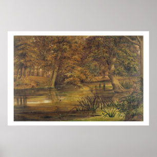 Rugwater van de Bratford, 1864 (m/c en potlood o Poster