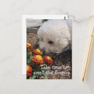 Ruik de Bloemen Briefkaart