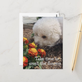Ruik de Bloemen Briefkaart